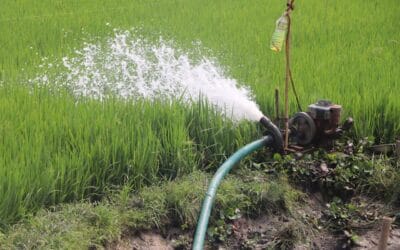 Trash Pump Buyer’s Guide